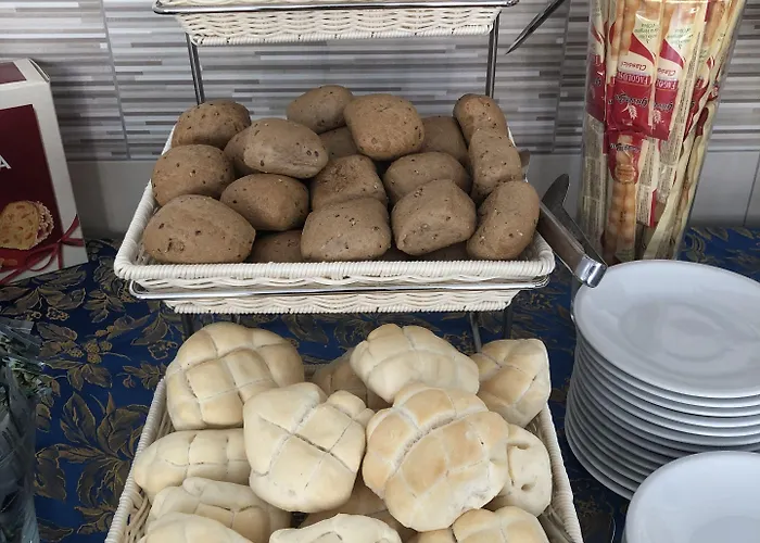 Napoleon 切塞纳蒂科