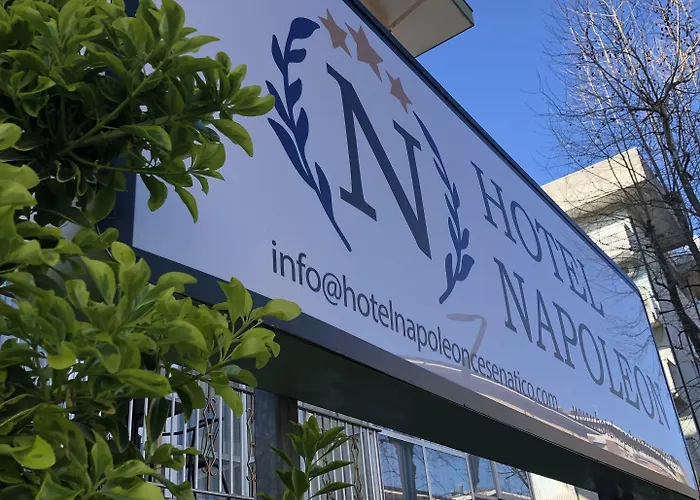 Napoleon 切塞纳蒂科