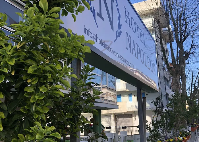 酒店 Napoleon 切塞纳蒂科