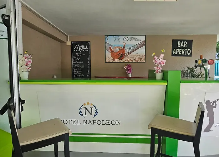 Napoleon 체제나티코