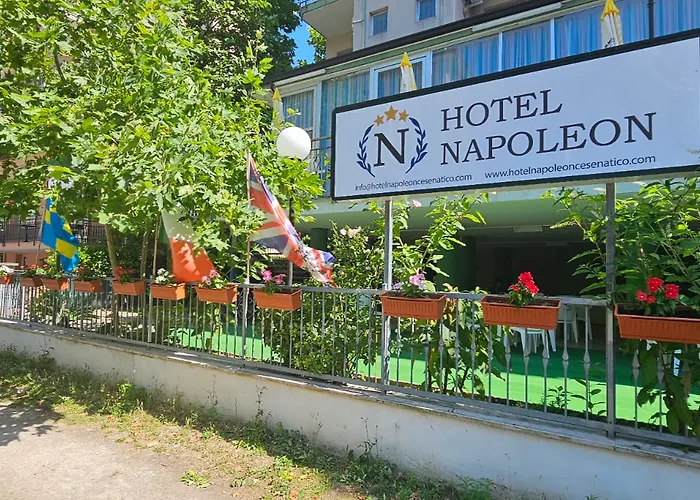 Napoleon 체제나티코